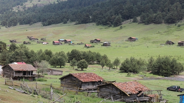 Dörtdivan Yayla Yolu