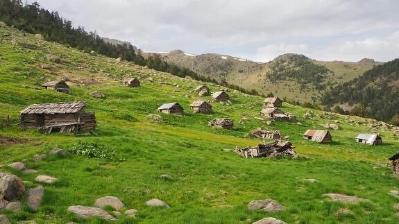 Kıbrıscık Yaylaları