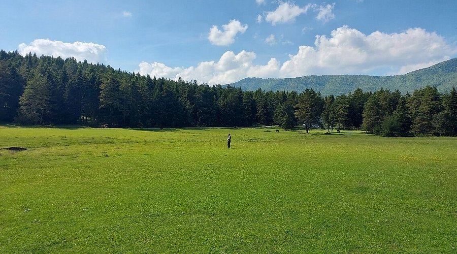 Bolu Yaylası